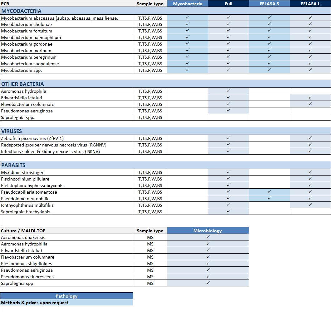 ST 33.2 Diagnostic Services Zebrafisch 2025 WEB